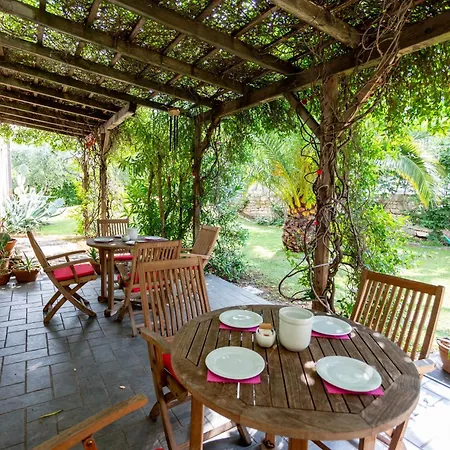 Alesi マルチェージネ